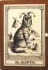 猫のタロットカード