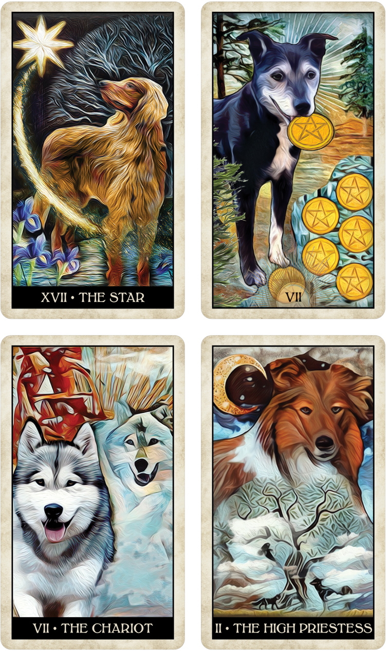 タロットカード WISE DOG TAROT【Prosperity Mana】